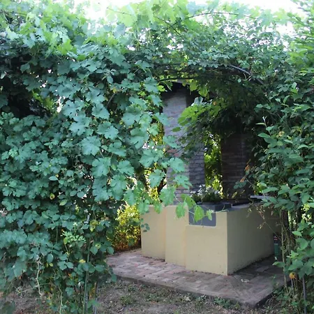 B&B Il Pozzo-2